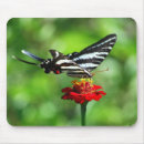 Suche nach frack mousepads Natur
