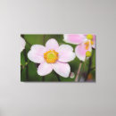 Suche nach anemone leinwandbilder Botanisch