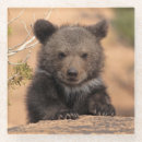 Suche nach grizzlybär untersetzer Usa
