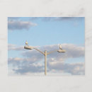 Recherche de lampadaire cartes postales Lampe