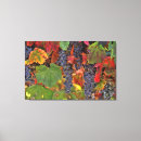 Recherche de raisins art Vignoble