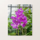 Suche nach rosa orchideen puzzle Rätsel