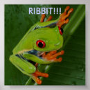 Suche nach rote augen poster Frosch