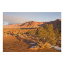Suche nach wacholder poster Sonnenaufgang