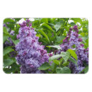 Recherche de lilas magnets Fleurs