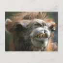 Suche nach kiss postkarten Natur