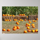 Suche nach orange kürbis poster Kürbisse