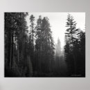 Recherche de le feu de forêt posters Arbre