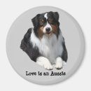 Recherche de chien berger australien magnets Élevage