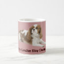 Recherche de cavaliers tasses Chien