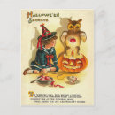 Recherche de hibou fille cartes postales Citrouille