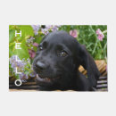 Suche nach der labrador türmatten Lustig