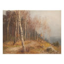 Recherche de de bouleau posters Forêt de bouleaux