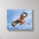 Suche nach raubvögel leinwandbilder Tiere