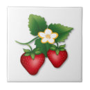 Recherche de fraise carreaux Doux