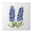 Suche nach lupine fliesen Aquarell