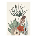 Suche nach protea blume poster Botanisch