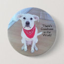 Recherche de grande oreille badges Mignon