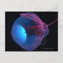 Recherche de oeil humain cartes postales Partie