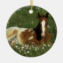 Suche nach appaloosa ornamente Reiter