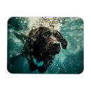 Recherche de nageant magnets De chien personnalisables