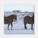 Suche nach pferd magnete Winter