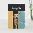 Suche nach gewartet karten Goldene retriever