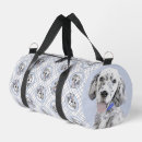 Recherche de anglais sacs Chien
