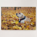 Suche nach labrador puzzle Hund