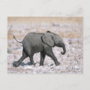 Suche nach etosha poster Im freien