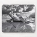 Recherche de reptile électronique Plage