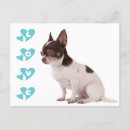Recherche de love cartes postales Chien