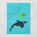 Recherche de animaux marins cartes postales Dauphin