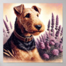 Suche nach airedale terrier poster Welpe