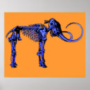 Suche nach fossil poster Archäologie