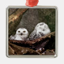 Recherche de chouette ornements Amoureux des oiseaux