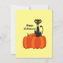 Recherche de chat orange cartes postales Amusant