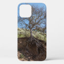 Recherche de racines coques Tronc d'arbre
