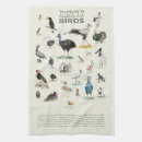 Recherche de ornithologie cuisine linges Faune