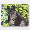 Suche nach tierköpfe mousepads Deutschland