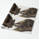 Recherche de raton laveur papier cadeau Vintage