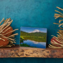 Suche nach nebel fotoplatten Wald