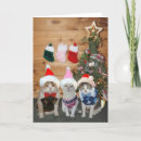 Recherche de chat laid cartes invitations Vacances