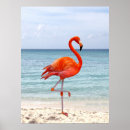 Suche nach rotes meer poster Strand