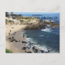 Recherche de otaries cartes postales Océan