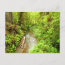 Recherche de perdu cartes postales Paysage
