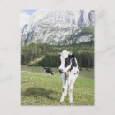 Suche nach südtirol postkarten Natur