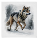 Suche nach grey wolf poster Wölfe