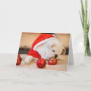 Suche nach am billigsten karten Niedlich