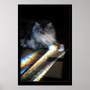 Recherche de rainbow bridge posters Perte